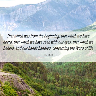 Picture 06 - 1 John 1:1 ASV - That which was from the beginning, that which we - Bible Verse Picture