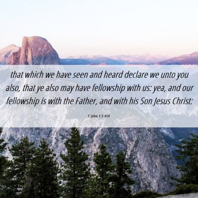 Picture 06 - 1 John 1:3 ASV - that which we have seen and heard declare we unto - Bible Verse Picture