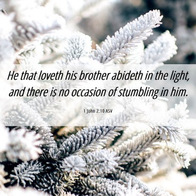 Picture 06 - 1 John 2:10 ASV - He that loveth his brother abideth in the light, - Bible Verse Picture