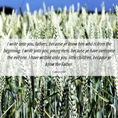 Picture 06 - 1 John 2:13 ASV - I write unto you, fathers, because ye know him - Bible Verse Picture