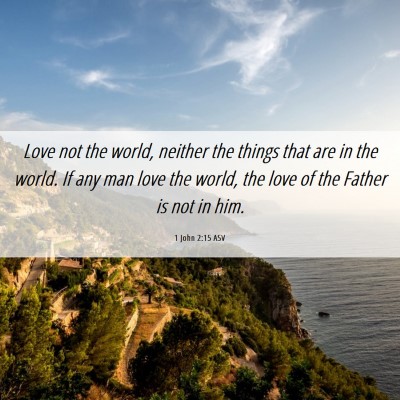 Picture 06 - 1 John 2:15 ASV - Love not the world, neither the things that are - Bible Verse Picture