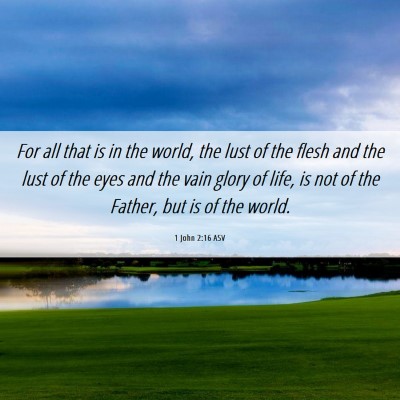 Picture 06 - 1 John 2:16 ASV - For all that is in the world, the lust of the - Bible Verse Picture