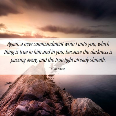 Picture 06 - 1 John 2:8 ASV - Again, a new commandment write I unto you, which - Bible Verse Picture