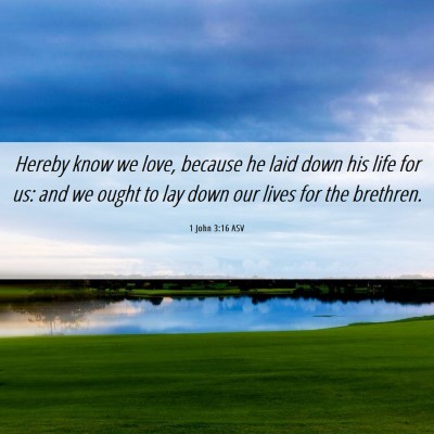 Picture 06 - 1 John 3:16 ASV - Hereby know we love, because he laid down his - Bible Verse Picture