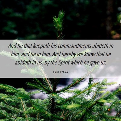 Picture 06 - 1 John 3:24 ASV - And he that keepeth his commandments abideth in - Bible Verse Picture