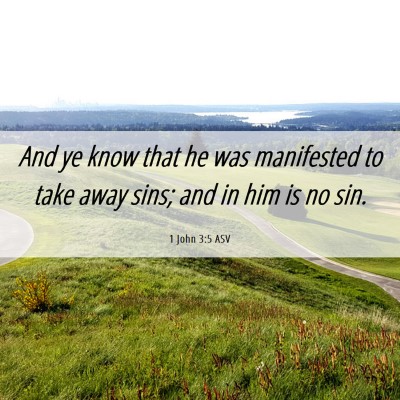 Picture 06 - 1 John 3:5 ASV - And ye know that he was manifested to take away - Bible Verse Picture