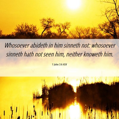 Picture 06 - 1 John 3:6 ASV - Whosoever abideth in him sinneth not: whosoever - Bible Verse Picture