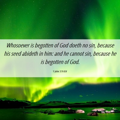 Picture 06 - 1 John 3:9 ASV - Whosoever is begotten of God doeth no sin, - Bible Verse Picture