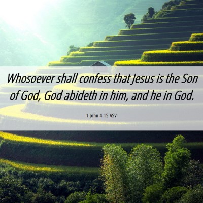 Picture 06 - 1 John 4:15 ASV - Whosoever shall confess that Jesus is the Son of - Bible Verse Picture