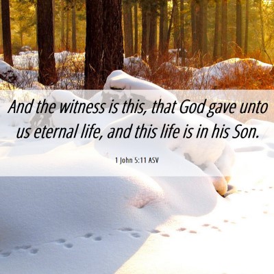 Picture 06 - 1 John 5:11 ASV - And the witness is this, that God gave unto us - Bible Verse Picture
