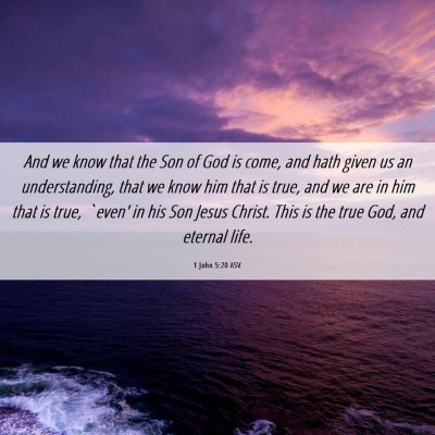 Picture 06 - 1 John 5:20 ASV - And we know that the Son of God is come, and hath - Bible Verse Picture