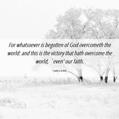Picture 06 - 1 John 5:4 ASV - For whatsoever is begotten of God overcometh the - Bible Verse Picture
