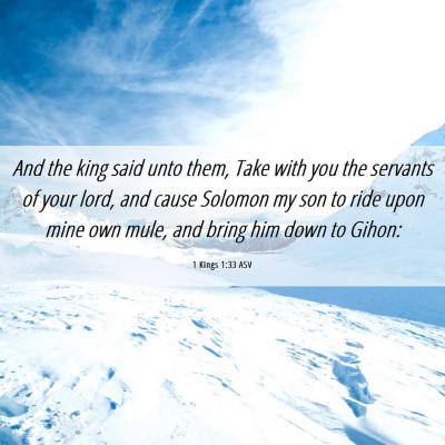 Picture 06 - 1 Kings 1:33 ASV - And the king said unto them, Take with you the - Bible Verse Picture
