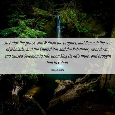 Picture 06 - 1 Kings 1:38 ASV - So Zadok the priest, and Nathan the prophet, and - Bible Verse Picture