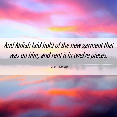 Picture 06 - 1 Kings 11:30 ASV - And Ahijah laid hold of the new garment that was - Bible Verse Picture