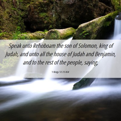 Picture 06 - 1 Kings 12:23 ASV - Speak unto Rehoboam the son of Solomon, king of - Bible Verse Picture
