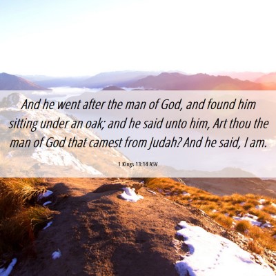 Picture 06 - 1 Kings 13:14 ASV - And he went after the man of God, and found him - Bible Verse Picture