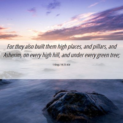 Picture 06 - 1 Kings 14:23 ASV - For they also built them high places, and - Bible Verse Picture