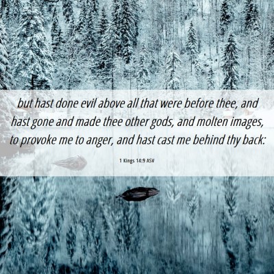 Picture 06 - 1 Kings 14:9 ASV - but hast done evil above all that were before - Bible Verse Picture