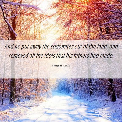 Picture 06 - 1 Kings 15:12 ASV - And he put away the sodomites out of the land, - Bible Verse Picture