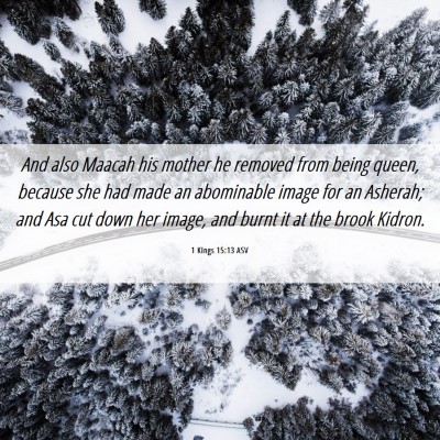 Picture 06 - 1 Kings 15:13 ASV - And also Maacah his mother he removed from being - Bible Verse Picture
