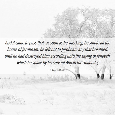 Picture 06 - 1 Kings 15:29 ASV - And it came to pass that, as soon as he was king, - Bible Verse Picture