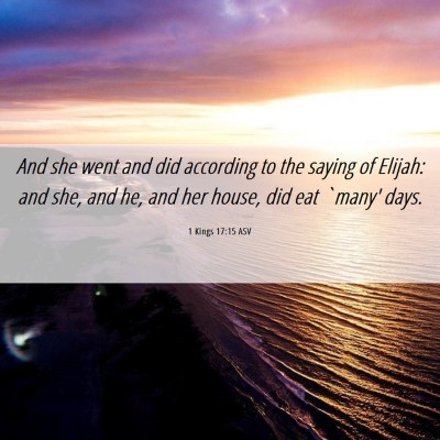 Picture 06 - 1 Kings 17:15 ASV - And she went and did according to the saying of - Bible Verse Picture