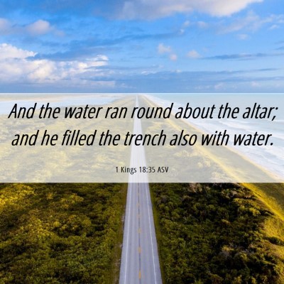 Picture 06 - 1 Kings 18:35 ASV - And the water ran round about the altar; and he - Bible Verse Picture