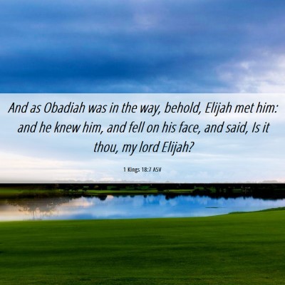 Picture 06 - 1 Kings 18:7 ASV - And as Obadiah was in the way, behold, Elijah met - Bible Verse Picture