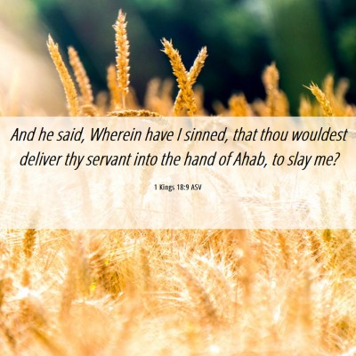 Picture 06 - 1 Kings 18:9 ASV - And he said, Wherein have I sinned, that thou - Bible Verse Picture
