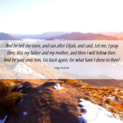 Picture 06 - 1 Kings 19:20 ASV - And he left the oxen, and ran after Elijah, and - Bible Verse Picture