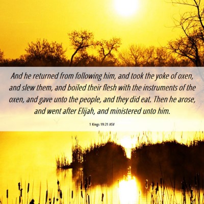 Picture 06 - 1 Kings 19:21 ASV - And he returned from following him, and took the - Bible Verse Picture