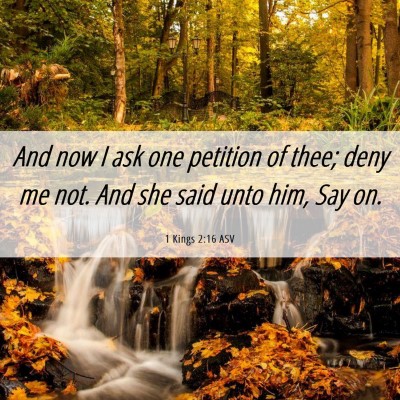 Picture 06 - 1 Kings 2:16 ASV - And now I ask one petition of thee; deny me not. - Bible Verse Picture