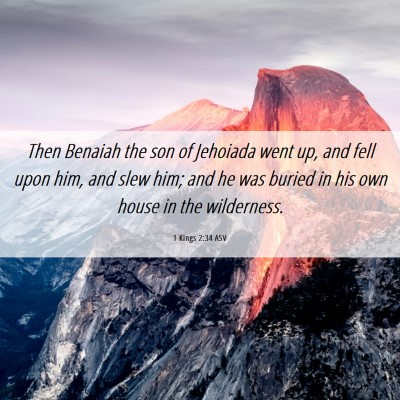 Picture 06 - 1 Kings 2:34 ASV - Then Benaiah the son of Jehoiada went up, and - Bible Verse Picture