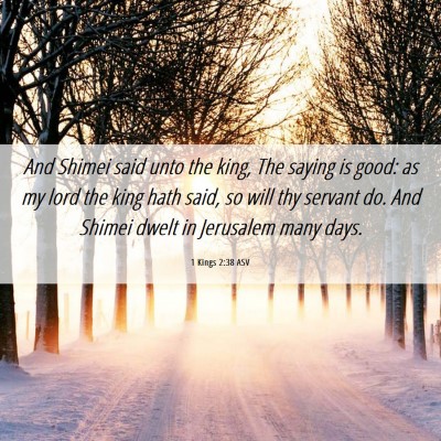 Picture 06 - 1 Kings 2:38 ASV - And Shimei said unto the king, The saying is - Bible Verse Picture