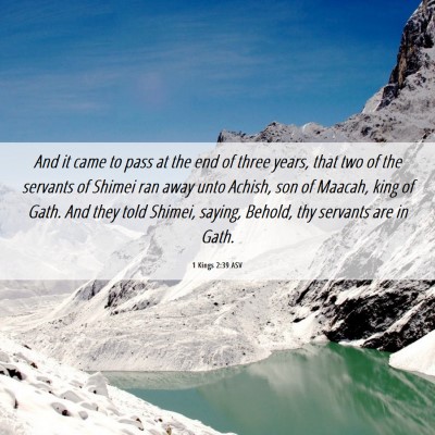 Picture 06 - 1 Kings 2:39 ASV - And it came to pass at the end of three years, - Bible Verse Picture