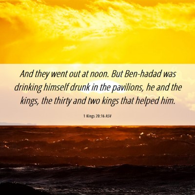 Picture 06 - 1 Kings 20:16 ASV - And they went out at noon. But Ben-hadad was - Bible Verse Picture