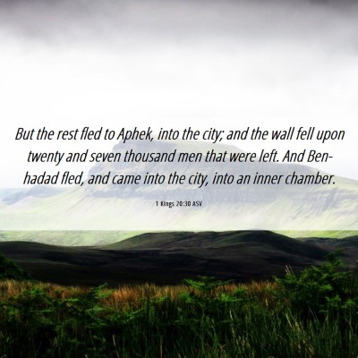 Picture 06 - 1 Kings 20:30 ASV - But the rest fled to Aphek, into the city; and - Bible Verse Picture