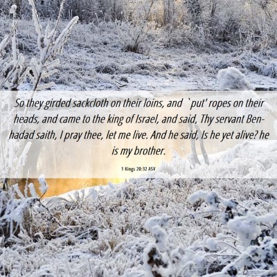 Picture 06 - 1 Kings 20:32 ASV - So they girded sackcloth on their loins, and - Bible Verse Picture