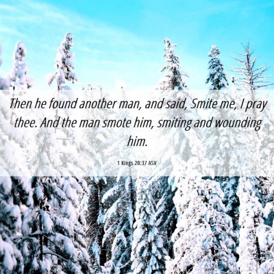 Picture 06 - 1 Kings 20:37 ASV - Then he found another man, and said, Smite me, I - Bible Verse Picture