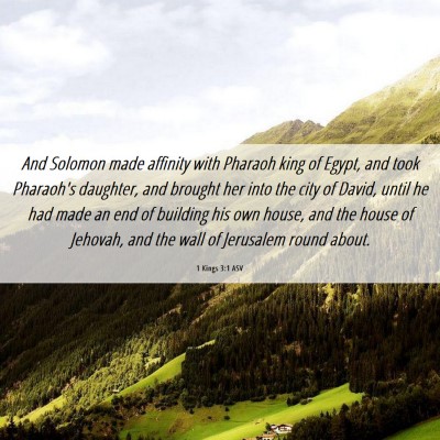 Picture 06 - 1 Kings 3:1 ASV - And Solomon made affinity with Pharaoh king of - Bible Verse Picture