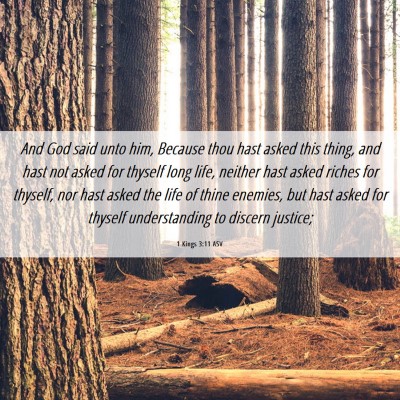 Picture 06 - 1 Kings 3:11 ASV - And God said unto him, Because thou hast asked - Bible Verse Picture