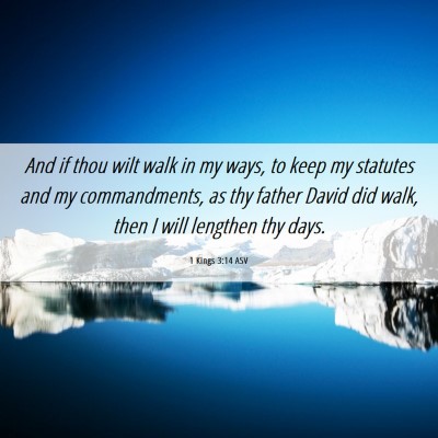 Picture 06 - 1 Kings 3:14 ASV - And if thou wilt walk in my ways, to keep my - Bible Verse Picture