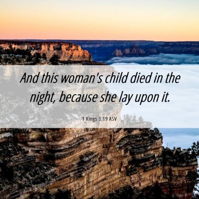 Picture 06 - 1 Kings 3:19 ASV - And this woman's child died in the night, because - Bible Verse Picture