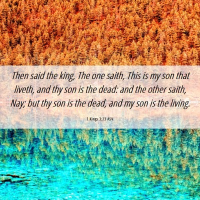 Picture 06 - 1 Kings 3:23 ASV - Then said the king, The one saith, This is my son - Bible Verse Picture
