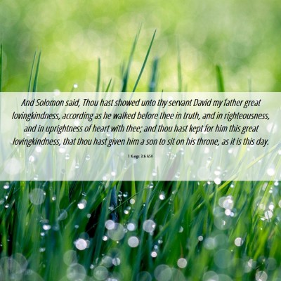 Picture 06 - 1 Kings 3:6 ASV - And Solomon said, Thou hast showed unto thy - Bible Verse Picture