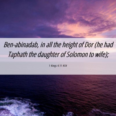 Picture 06 - 1 Kings 4:11 ASV - Ben-abinadab, in all the height of Dor (he had - Bible Verse Picture