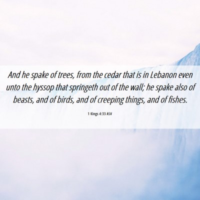 Picture 06 - 1 Kings 4:33 ASV - And he spake of trees, from the cedar that is in - Bible Verse Picture