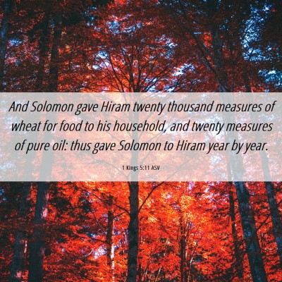 Picture 06 - 1 Kings 5:11 ASV - And Solomon gave Hiram twenty thousand measures - Bible Verse Picture