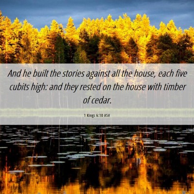 Picture 06 - 1 Kings 6:10 ASV - And he built the stories against all the house, - Bible Verse Picture